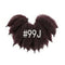 99JColor
