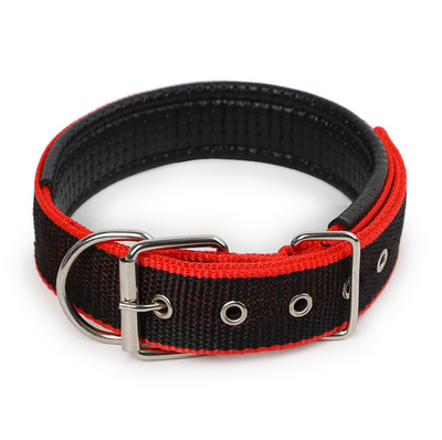 Collar para Mascotas con Forro de Cuero Suave y Espuma Protectora - Image 7