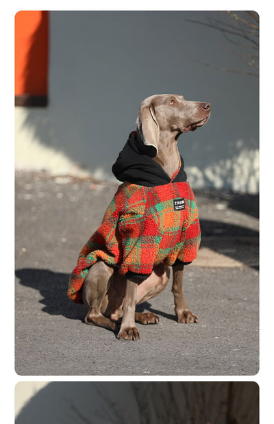 Ropa Térmica Gruesa para Perros Grandes - Image 4