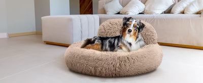 Cama Térmica Acogedora para Gatos - Almohadilla Cálida de Felpa - Image 17