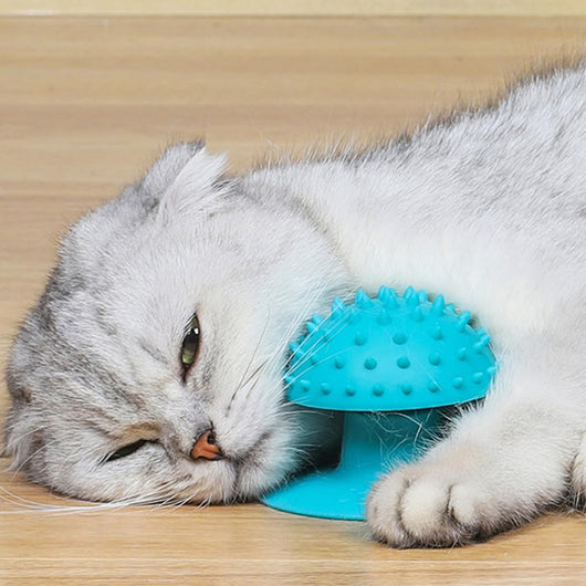 Rascador y Masajeador Felino con Menta - Cepillo de Aseo para Gatos - Image 5
