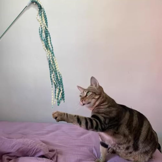 Juguetes Interactivos para Gatos con Varita y Campana - Image 6