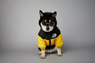 Abrigo Impermeable y Cortavientos para Perros - Ropa de Invierno Acolchada - Image 40