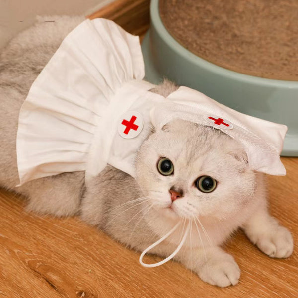 Conjunto de Vestido para Gato Personalizado y a la Moda