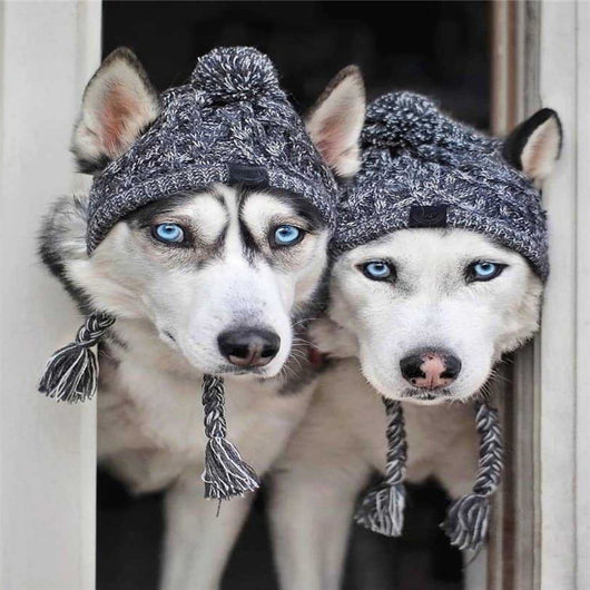 Gorro de Lana para Perros - Colección Otoño Invierno - Image 2