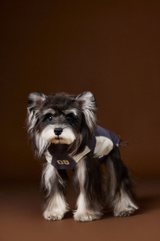 Ropa de Otoño para Perros Pequeños - Abrigos para Schnauzer, Teddy y York - Image 14