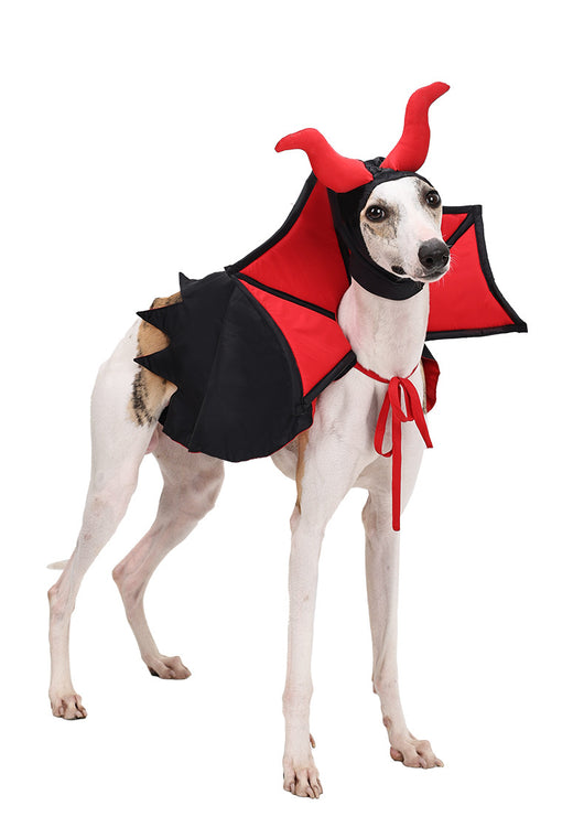 Disfraz de Vampiro para Mascotas con Capa y Sombrero - Image 12