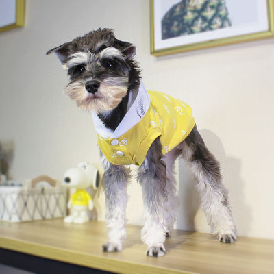 Ropa para Cachorros - Image 6