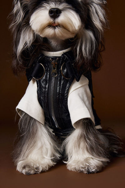Chaleco de Cuero con Bolsillos de Carga - Diseño Industrial Estampado Mascotas - Image 4