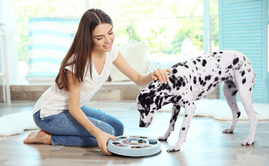 Juguete Puzzle Interactivo para Perros - Comedero Inteligente de Enriquecimiento Mental - Image 13