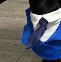 Disfraz Halloween para Perros Salchicha - Traje Divertido y Cómodo - Image 5