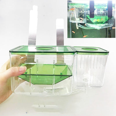 Caja de Aislamiento para Peces - Incubadora y Separador de Peces Enfermos - Image 5