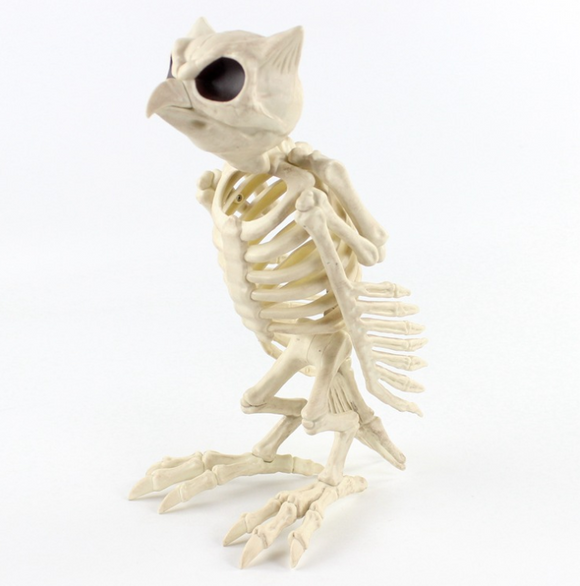 Cráneo Animal de Plástico - Réplica Esqueleto Decorativo