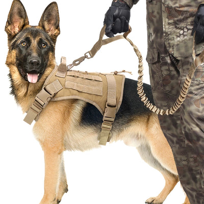 Cuerda de Tracción Elástica con Amortiguador para Mascotas