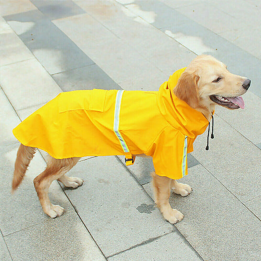 Impermeable para Perros con Capucha y Reflectantes de Seguridad - Image 17