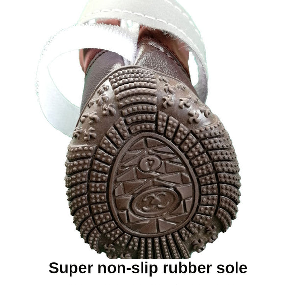 Botas Impermeables para Perros Pequeños