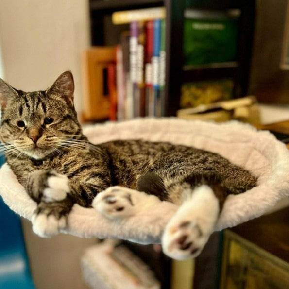 Hamaca para Gatos Ajustable y Ergonómica