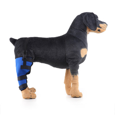Soporte ortopédico para rehabilitación de patas en mascotas - Image 25