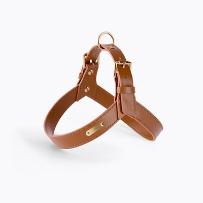 Arnés Chaleco para Perros y Gatos - Correa de Pecho Ajustable para Verano - Image 7