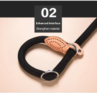 Cuerda de Entrenamiento para Pasear Perros con Agarre Manual - Image 20