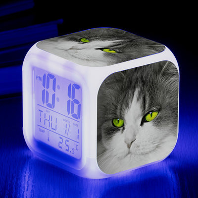Reloj Despertador Cuadrado Multicolor para Gatos - Image 12