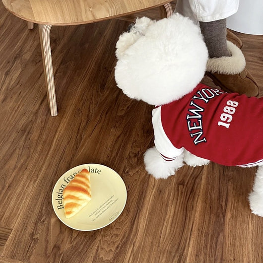 Uniforme de Béisbol Estampado Otoñal para Mascotas - Image 2
