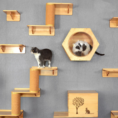 Árbol Rascador para Gatos con Nido Espacioso en Madera Sólida - Image 12