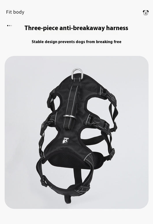 Arnés de Pecho Antiescape para Perros Grandes con Cuerda de Tela Oxford - Image 10