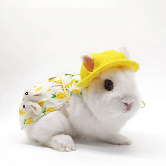 Ropa y Adornos para Conejos Enanos de Orejas Caídas - Image 18