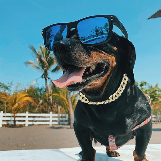 Collar de Lujo para Mascotas con Cadena Cubana y Diamantes