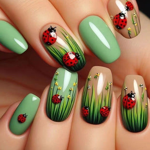 Set de 24 Piezas de Accesorios Casuales para Mujer - Image 32