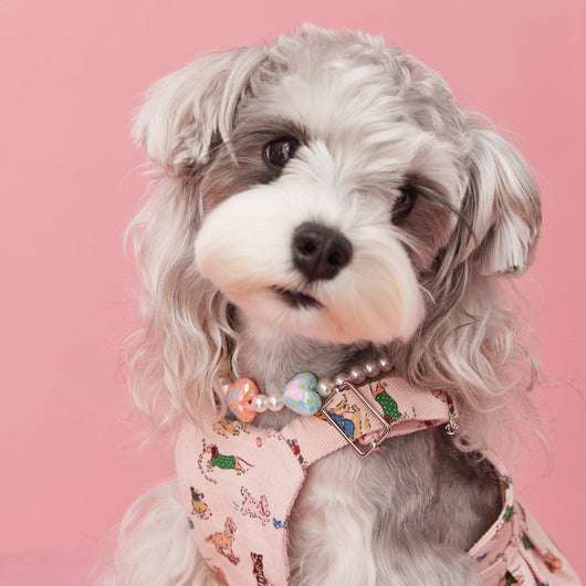 Adornos de Cuentas para Mascotas - Accesorios Decorativos Cóncavos para Perros - Image 16