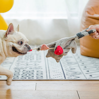 Juguete Interactivo de Peluche para Perros Pequeños con Dispensador de Alimentos - Image 3