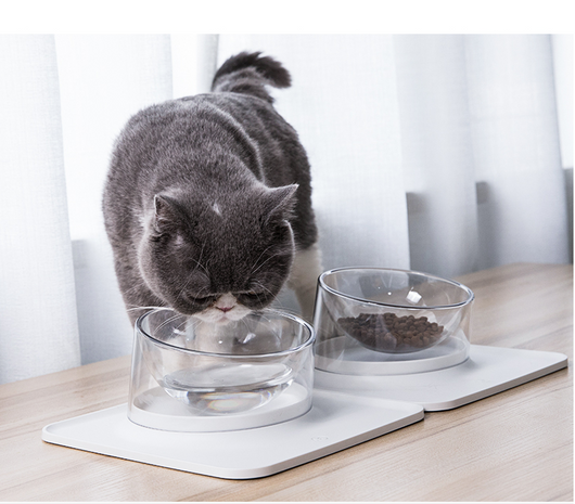 Comedero Inclinado Antiderrames para Mascotas - Tazón Antivuelco para Perros y Gatos - Image 5
