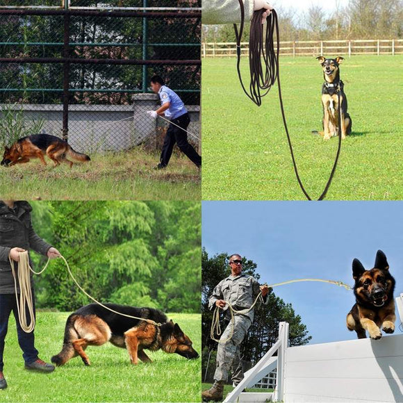 Cinturón de Adiestramiento Canino