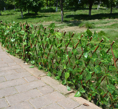 Enrejado Extensible para Plantas con Red Anticorrosiva - Decoración de Jardín y Muro - Image 3
