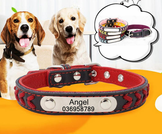 Collar para Perro de Acero Inoxidable con Grabado Láser - Image 20