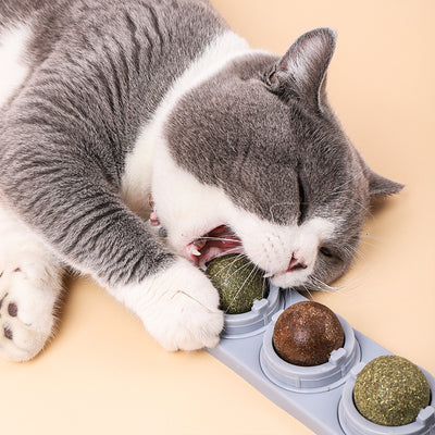 Cat treat dispenser with four lickable balls: cat sugar, cat mint, gall fruit, and silvervine, in a purple holder. - Image 11