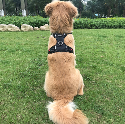 Arnés Chaleco para Perros Medianos y Grandes - Image 4