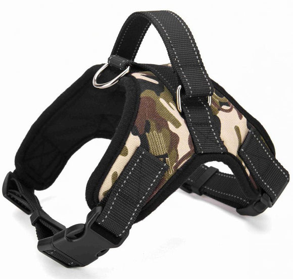 Arnés de Cuero Premium con Cuerda de Sujeción Manual para Golden Retriever - Resistencia a Prueba de Explosión