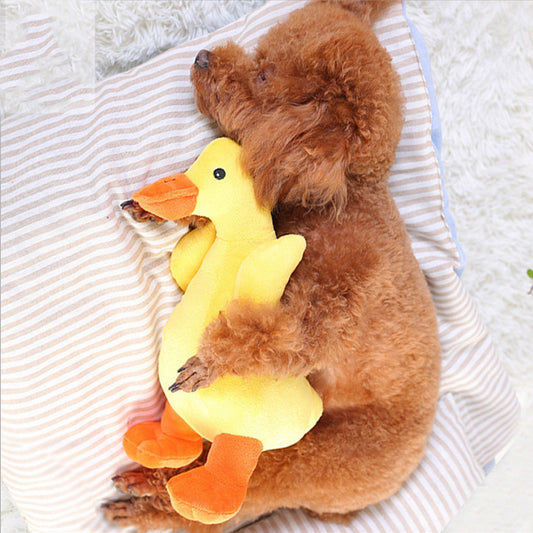 Brown poodle dog sleeping soundly, cuddling a yellow plush duck toy with orange beak and feet on a striped pillow.