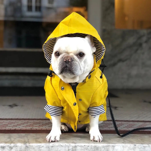 Impermeable para Perros - Abrigo Protector Contra Lluvia - Image 19