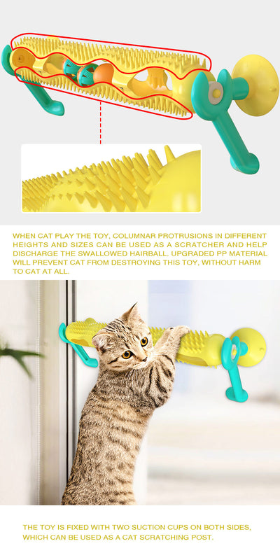 Grey tabby kitten playing with a yellow and teal wall-mounted cat toy featuring a track with rolling balls. - Image 7