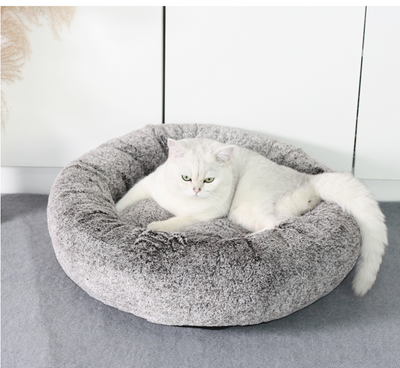 Arena para Gatos Aglomerante Premium - Comodidad Invernal - Image 11