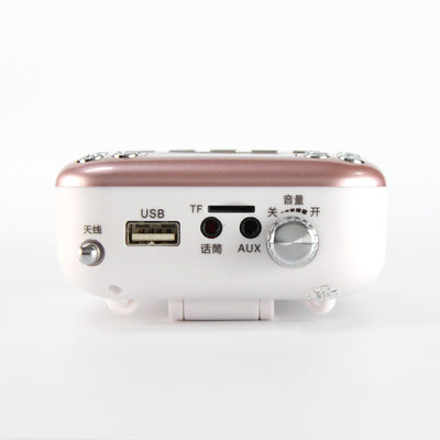 Altavoz Portátil para Cintura con Amplificación Profesional - Image 2