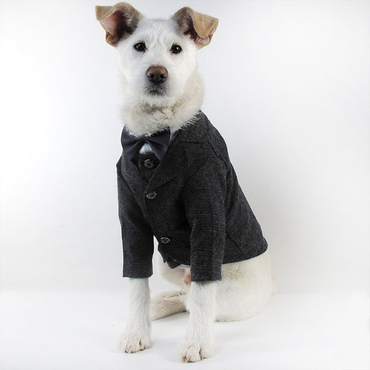 Traje de Boda para Mascotas - Image 6