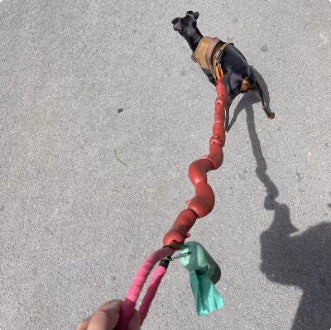 Juguete de Cuerda para Perro con Salchichas Grandes - Image 8
