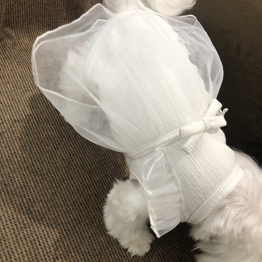 Falda Coreana Blanca para Perros - Image 4