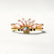 Anillo Corona Ajustable Plata 925 Chapado Oro con Zirconia 3A