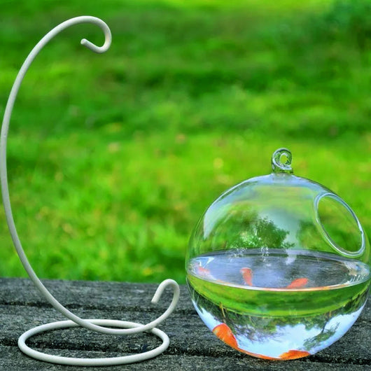 Florero Colgante de Cristal con Acuario - Image 5